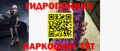 a pvp Заволжье