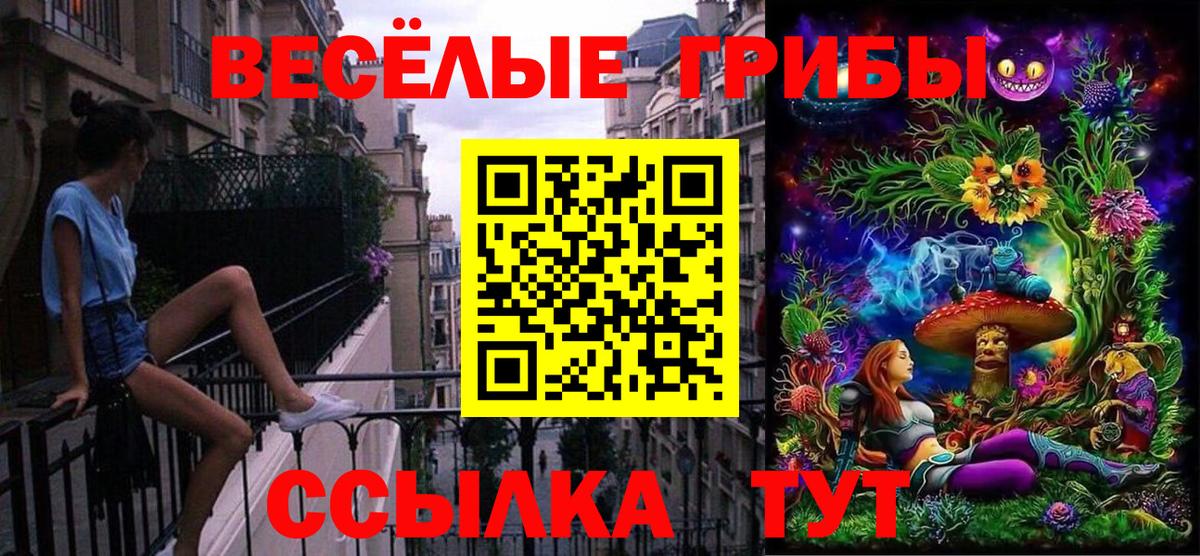 Галлюциногенные грибы прущие грибы  купить наркотик  Майский  Вход с VPN 