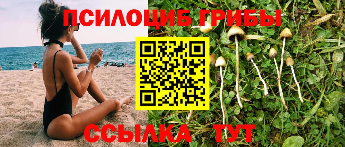 Псилоцибиновые грибы Psilocybine cubensis Майский